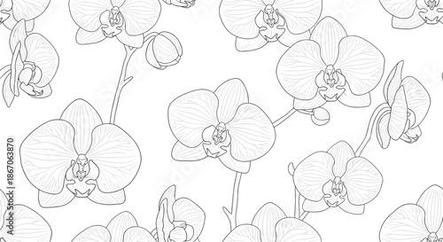 Sophisticated seamless pattern of orchid flower line art drawings with long stems and buds creating a clean botanical look on white.