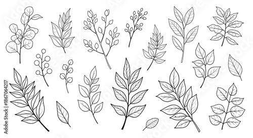 Large collection of diverse hand-drawn leaf branches and botanical stems rendered in clean black line art for various graphic design uses.
