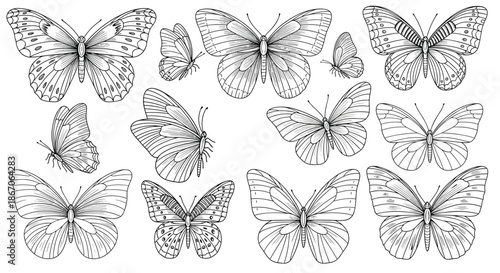 Collection of hand-drawn butterfly sketches in various poses and sizes featuring intricate wing patterns for creative nature-inspired projects.