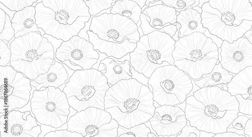 Black and white line art illustration of a dense field of poppy flowers with detailed petals and centers creating a natural floral background.