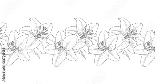 Seamless horizontal border pattern featuring hand drawn lily flowers in black and white sketch style for elegant design.