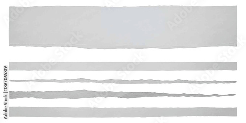 Collection of blank torn white paper pieces displaying unique textures and rough edges