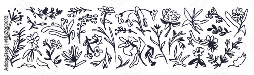 Floral doodles, black ink drawings set. Botanical elements, flowers and plants drawn with charcoal, pencil, rough strokes, simple line sketch. Flat vector illustration isolated on white background