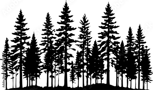A black silhouette of a forest with tall pine trees on a white background