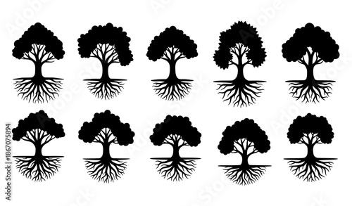 Black Tree with Roots Silhouette Icon Collection for Logo and Emblem Design
