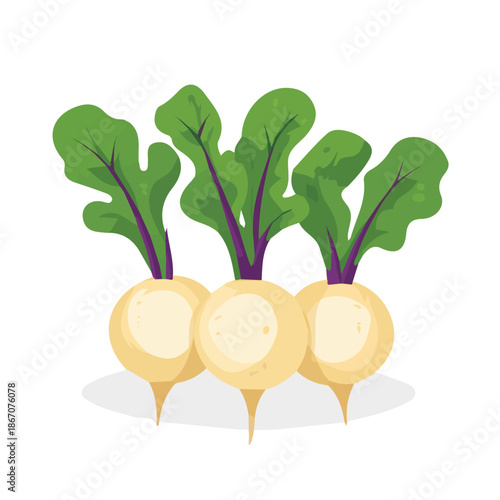 modern element in vector and EPS format, clean vector isolated on a white background, An Icon clipart set, An Imaginary 2D flat icon turnips group set