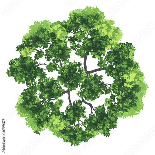 modern element in vector and EPS format, clean vector isolated on a white background, An Icon clipart set, An Imaginary 2D flat icon tree canopy top view
