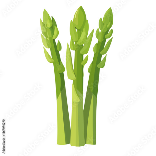 modern element in vector and EPS format, clean vector isolated on a white background, An Icon clipart set, An Imaginary 2D flat icon whole asparagu group set