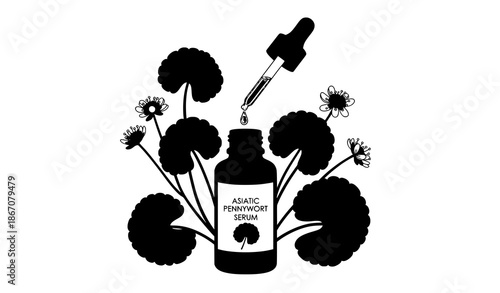 Asiatic pennywort medicinal skincare serum with leaves vector set