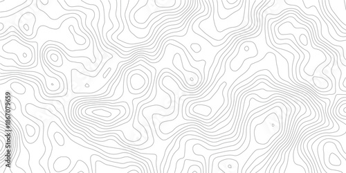 Topography background. Vector banner. Topography map background. Vector geographic contour map. Background of the topographic map. Topographic map lines, contour background. 