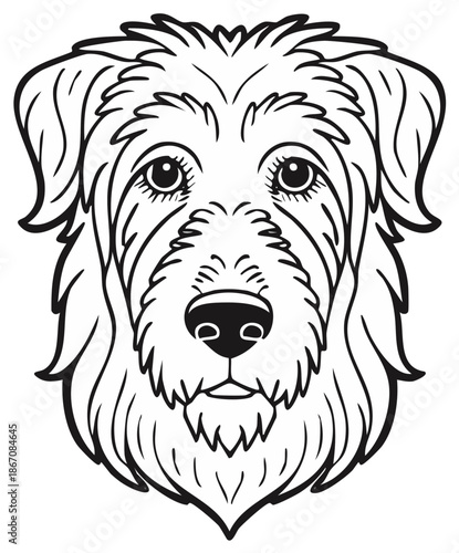 Shaggy Terrier Doodle Dog Head Portrait Black and White Line Art Vector