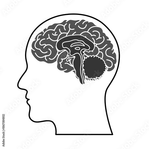 Flat vector illustration of brain anatomy symbol, simple design, flat design, design for elements, posters, emblems, clinics, or science.