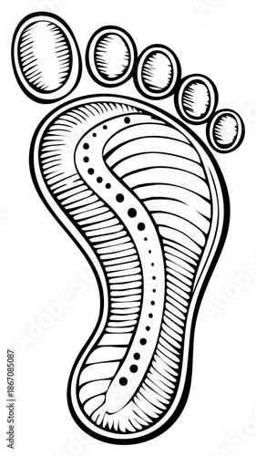 Monochrome Graphic Footprint with Toes and Textured Design, Outline Illustration