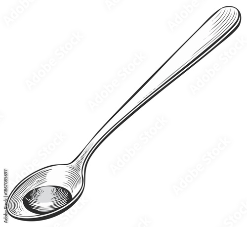 Elegant long handled spoon kitchen utensil vintage engraved illustration