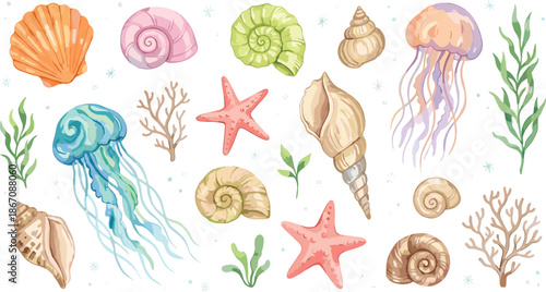 Cute ocean sea life illustration set, shells jellyfish starfish coral plants, pastel watercolor marine elements, hand drawn vector collection