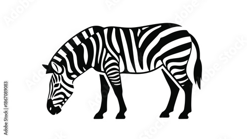 A black and white silhouette of a zebra grazing, showcasing its distinctive stripes and form