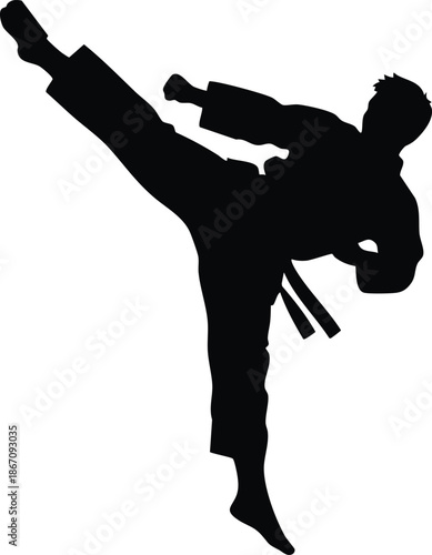 Silhouette of a martial artist performing a dynamic side kick in a traditional uniform.