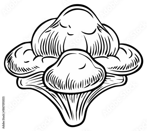 Artistic black and white drawing of gourmet forest mushrooms in woodcut style