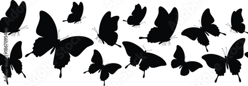 Black butterfly silhouette set, various flying insect wings shapes collection, spring nature elements, monarch and swallowtail butterfly isolated on white background vector illustration.