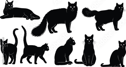 Black cat silhouettes set, isolated vector illustrations of domestic kittens in various poses like sitting, walking, and lying for pet care, animal welfare, and veterinary graphics