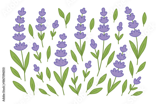 Lavender floral set in cartoon style, perfect for spring designs, packaging, kids decor, greeting cards, wellness projects. Hand drawn simple flat vector illustration on white background