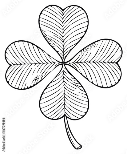 Four Leaf Clover Outline Drawing Symbol of Luck and Fortune
