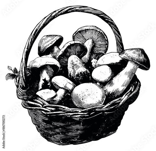 Hand drawn line art illustration of a basket of mushrooms depicting a bountiful harvest for nature themes