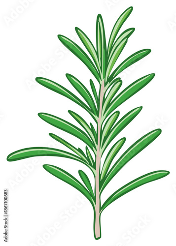Vibrant green rosemary herb sprig vector illustration, perfect for culinary, natural, and aromatic themes.