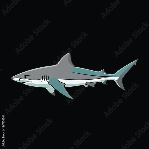 Cartoon Shark Illustration with Sharp Teeth and Streamlined Body.