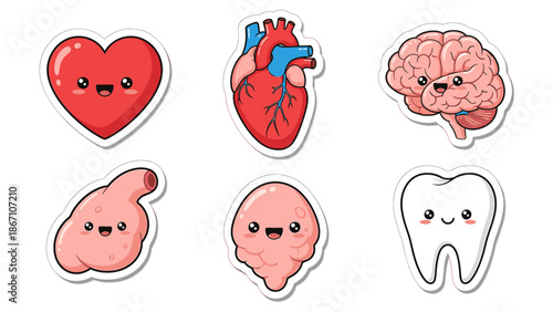 Cheerful Cartoon Human Anatomy Stickers for Medical Learning and Health Awareness Fun