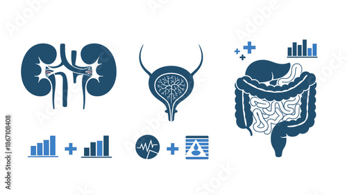 Visual representation of human organ health, medical data analysis, and body system insights for research