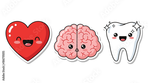 Cute cartoon heart brain and tooth characters with happy smiling faces