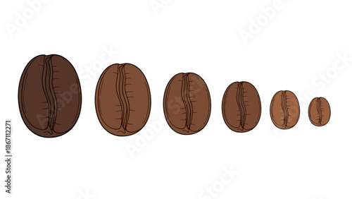 A row of six coffee beans of decreasing size, illustrating a progression from large to small.