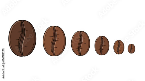 A row of six coffee beans of decreasing size, illustrating a visual progression from largest to smallest.