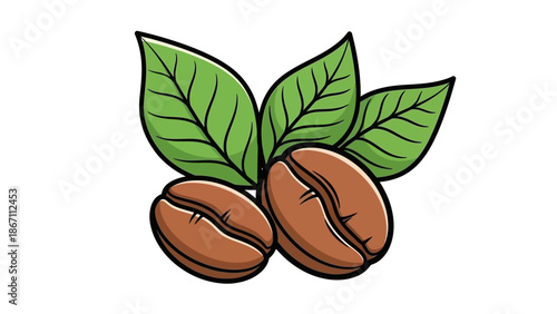 A vibrant illustration of two roasted coffee beans with fresh green leaves, symbolizing the origin of coffee.