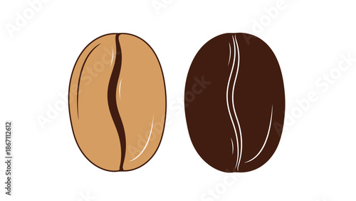 Two coffee beans, one light brown and unroasted, the other dark brown and roasted, isolated on a white background.