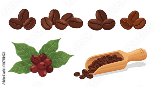 A collection of illustrations depicting coffee beans in various forms, including whole beans, a cluster of coffee cherries on a branch with leaves, and a wooden scoop filled with roasted coffee beans.