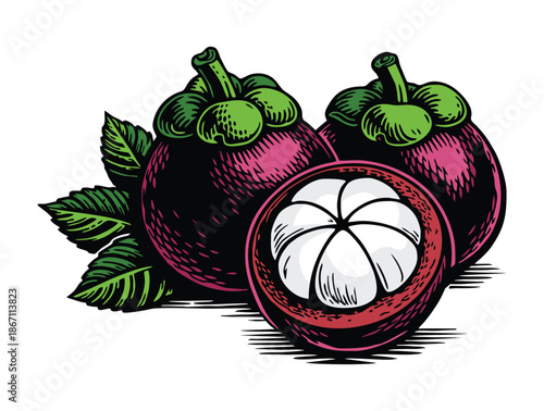 Purple eggplants hanging from a green plant branch with leaves.