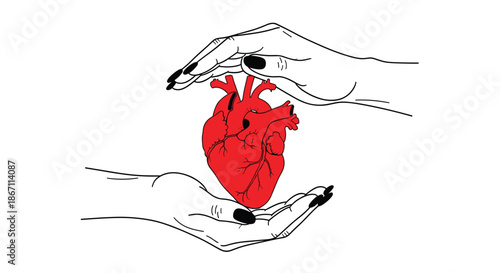 Meaningful line art drawing of two human hands protectively cupping a bright red anatomical heart on a white background.