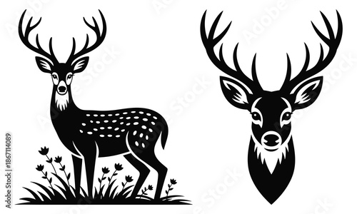 silhouette of a deer