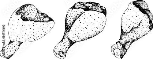 Engraving vector illustrations of various raw meat cuts, with detailed textures in realistic style