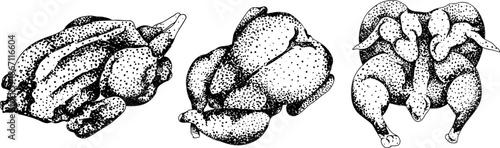 Engraving vector illustrations of various raw meat cuts, with detailed textures in realistic style