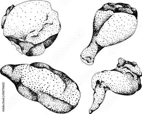 Engraving vector illustrations of various raw meat cuts, with detailed textures in realistic style