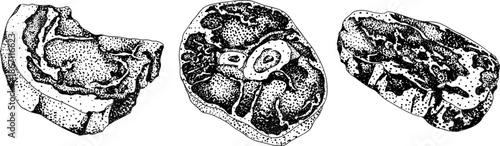 Engraving vector illustrations of various raw meat cuts, with detailed textures in realistic style