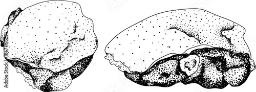 Engraving vector illustrations of various raw meat cuts, with detailed textures in realistic style