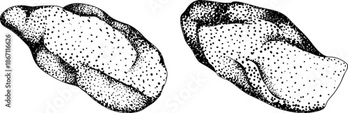 Engraving vector illustrations of various raw meat cuts, with detailed textures in realistic style