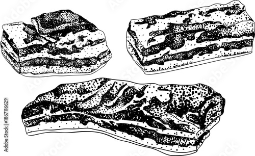 Engraving vector illustrations of various raw meat cuts, with detailed textures in realistic style