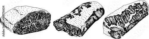 Engraving vector illustrations of various raw meat cuts, with detailed textures in realistic style
