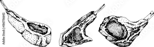 Engraving vector illustrations of various raw meat cuts, with detailed textures in realistic style