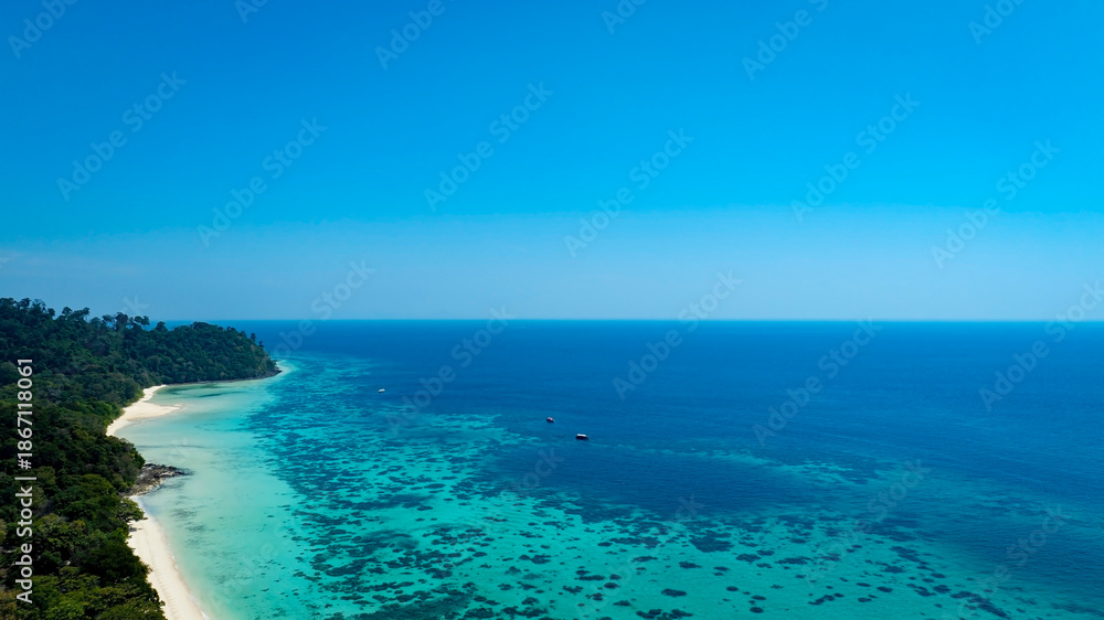 Fototapeta premium Aerail view with green forest island and the sea. natural ecosystems of forests in the oceans travel holiday concept